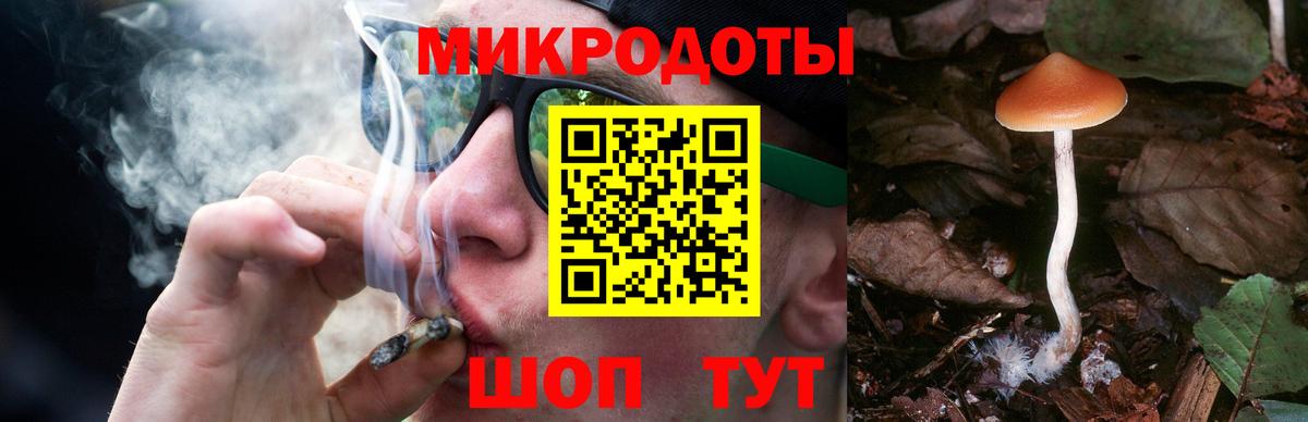 Галлюциногенные грибы прущие грибы  Псилоцибиновые грибы Psilocybine cubensis  Вход с VPN  Владивосток 